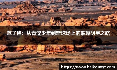 球速体育
