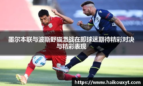 球速体育