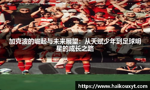 球速体育官网