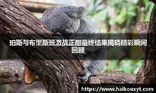 球速体育平台